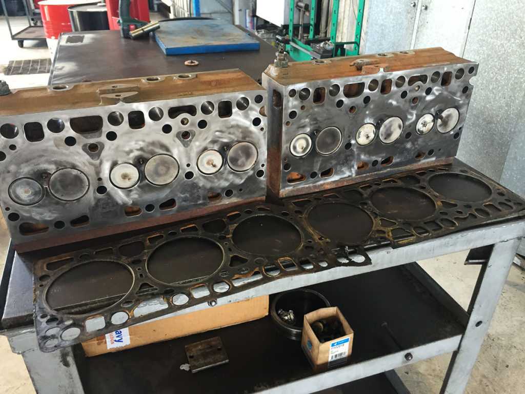 Kaley's heads and gasket, all cleaned up for assessment and repair. 