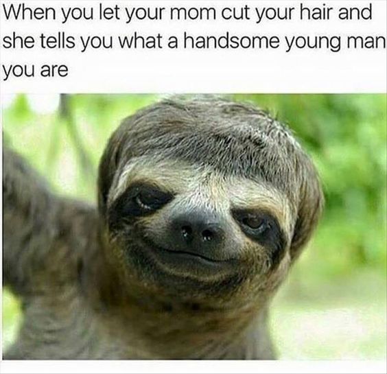 hair-cut-meme